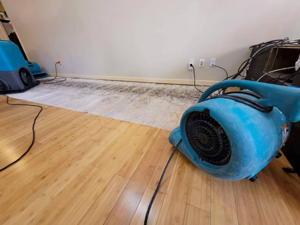 Professional Water Extraction technician working in Hildale, UT